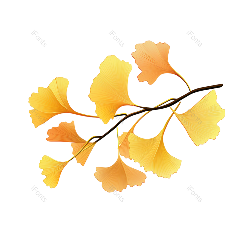 叶子图片,装饰元素,元素PNG,秋天免抠素材